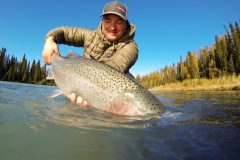 Large Steelhead being released