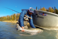 Spey caught Steelhead and driftboat