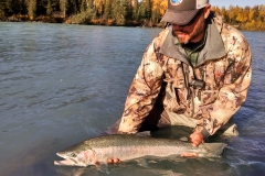 Angler holding a Steelhead