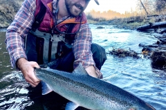 Releasing a Steelhead