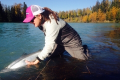 Watching a Steelhead swim away