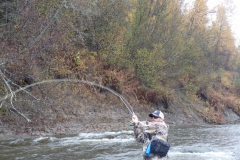 Angler hooked up to a steelhead