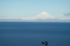 Alaska mountain an ocean view