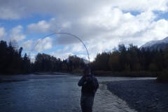 Angler fighting Steelhead