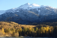 Alaska snowy peak and fall foliage view
