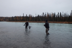 Netting a Steelhead