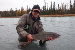 Showing a Kenai Rainbow