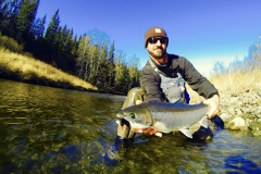 Small stream Steelhead caught with egg sucking leech