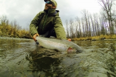 Happy angler releasing Alaska Steelhead