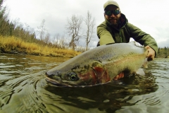 Closeup of Steelhead