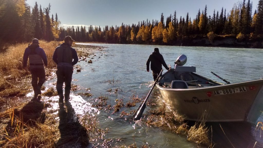 Driftboat and anglers search for Alaska steelhead