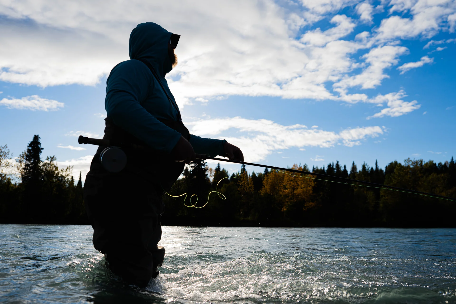 Read more about the article 2025 Year In Review